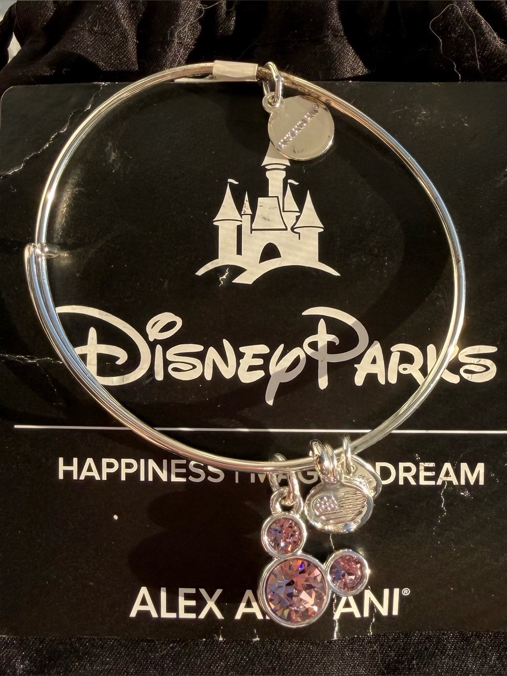 Alex and Ani Disney Parks Charm Bangle Silver